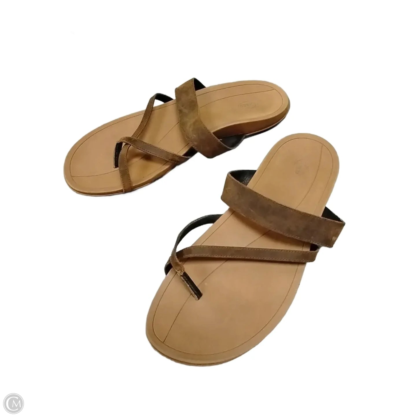 Sandals Flip Flops By Chacos In Brown, Size: 12
