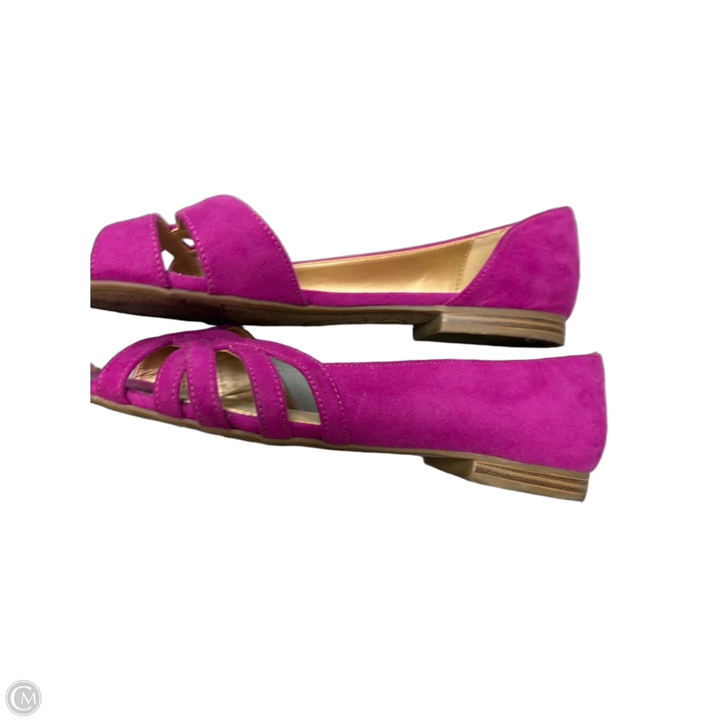 Shoes Flats By Circus By Sam Edelman In Purple, Size: 8.5