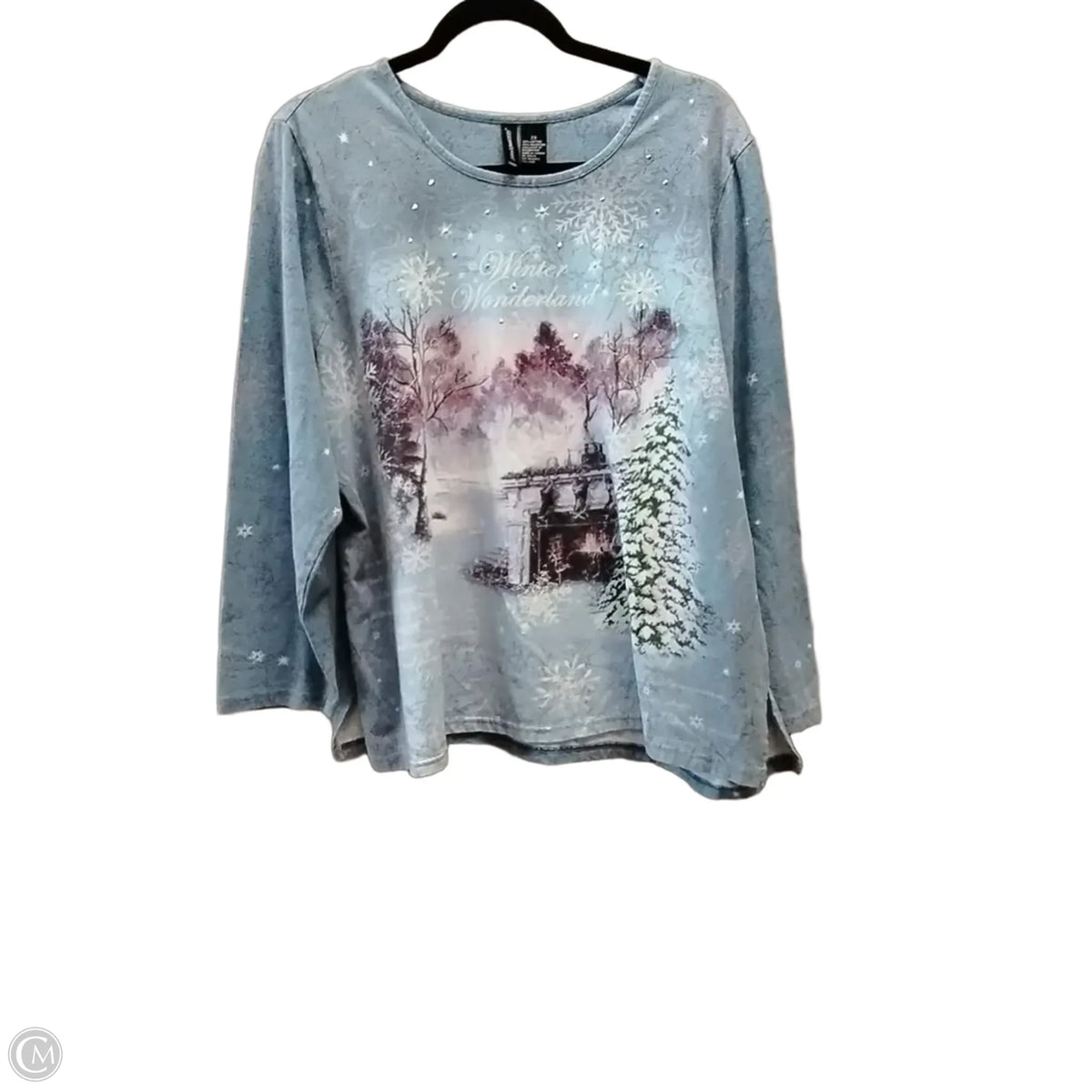 Top Long Sleeve By Jason Maxwell In Blue, Size: 2x
