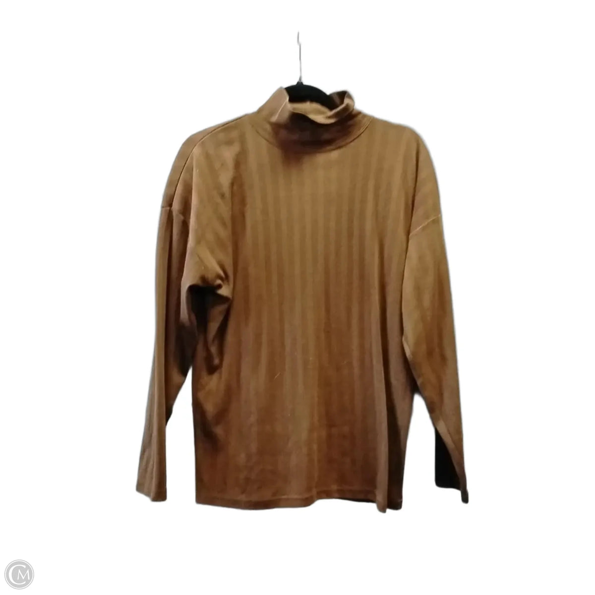 Top Long Sleeve Basic By Pasta In Brown, Size: L